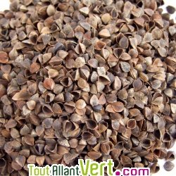 Oreiller en balles de sarrasin bio, Mille Oreillers