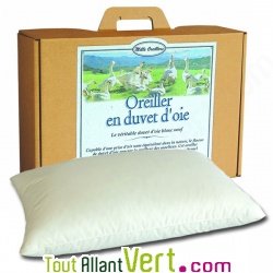 Oreiller en duvet d\'oie bio souple et coton biologique, Mille Oreillers