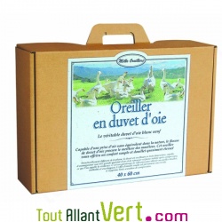 Oreiller en duvet d\'oie bio souple et coton biologique, Mille Oreillers