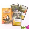 Jeu de cartes "Dfis Nature" : Les Oiseaux, 7 ans+