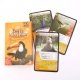 Jeu de cartes "D�fis Nature" : Les Oiseaux, 7 ans+