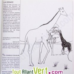 Cahier � colorier en relief, les animaux d\'Afrique, en papier recycl�
