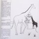 Cahier � colorier en relief, les animaux d\'Afrique, en papier recycl�