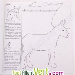 Cahier � colorier en relief, les animaux de la ferme et des pr�s, en papier recycl�