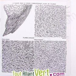 Cahier � colorier en relief, les animaux de la ferme et des pr�s, en papier recycl�