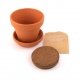 Pot terre cuite enfant Tournesol nain + terreau et graines, 12 cm