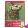 Cahier  spirale petits carreaux A4 recycl Greenpeace crocodile