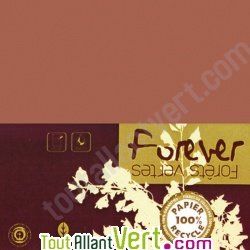 Carte double recycl�e 111x158 couleur Tabac Forever 210g, x25