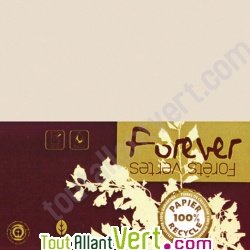 Carte double recycl�e 111x158 couleur Ivoire Forever 210g, x25