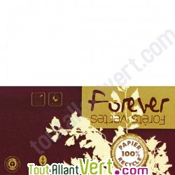 Carte double recycl�e 111x158 couleur Blanc Forever 210g, x25