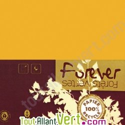 Carte double recycle 111x158 couleur Orange Abricot Forever 210g, x25