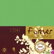 Carte double recycle 111x158 couleur Vert Mousse Forever 210g, x25