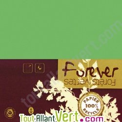 Carte double recycl�e 111x158 couleur Vert Mousse Forever 210g, x25
