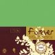Carte double recycl�e 111x158 couleur Vert Mousse Forever 210g, x25
