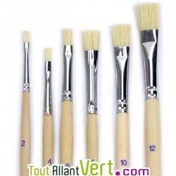 Pinceau n�12 bois non trait� naturel  plat, soies de porc
