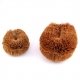 Brosse coco