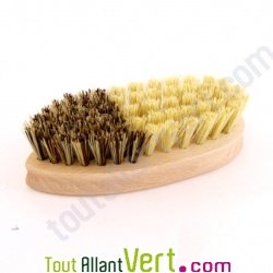 Brosse lgumes 14 cm