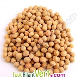 Noyaux de cerise, 1kg pour bouillotte