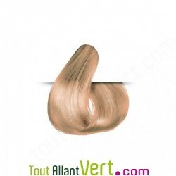 Teinture permanente coloration bio pour cheveux 10N Blond Platine Naturel