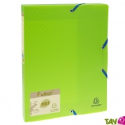 Bo�te de classement verte PP recycl�, Dos 40mm, Forever