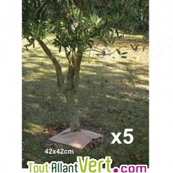 Dalles de paillage biod�gradables 42X42cm, lot 5