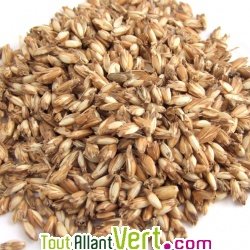 Balle d\'�peautre bio en vrac, 15 litres