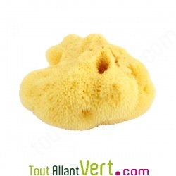 Eponge de mer naturelle b�b� pour la toilette, 8 cm