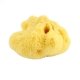 Eponge de mer naturelle b�b� pour la toilette, 8 cm