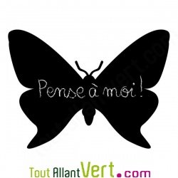 Sticker ardoise papillon, mati�re v�g�tale et colle sans solvant