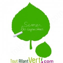 Sticker ardoise feuilles de noisetier, matire vgtale et colle sans solvant