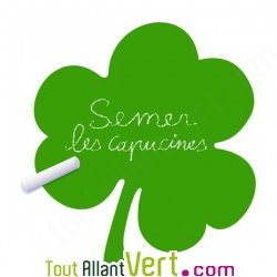 Sticker ardoise feuilles de tr�fle, mati�re v�g�tale et colle sans solvant