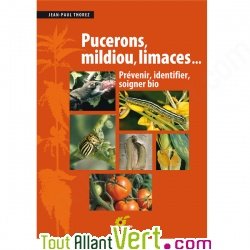 Pucerons, mildiou, limaces... Le guide du traitement bio du jardin
