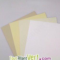 Papier recycl� couleur Ivoire pour carte de visite, 250g