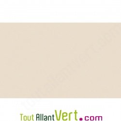 Cartes simples recycl�es 110x155 couleur Forever 210g, lot 25