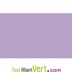 Cartes simples recycl�es lilas 110x155 couleur Forever 210g, lot 25
