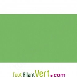 Cartes simples recycl�es vert mousse 110x155 couleur Forever 210g, lot 25