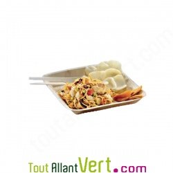 Assiette palmier carr�e 23.5x23.5cm biod�gradable, lot de 25