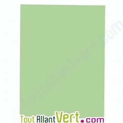 Sous-chemises recycl�es Vertes Nature Future 31x22cm pour A4