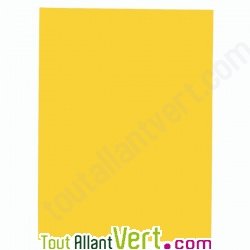 Chemises recycl�es semi-rigides Jaune Canari Nature Future 32x24cm pour A4