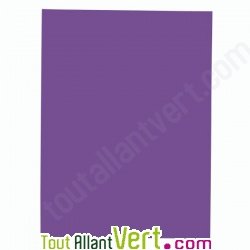 Chemises recycl�es semi-rigides violettes Nature Future 32x24cm pour A4