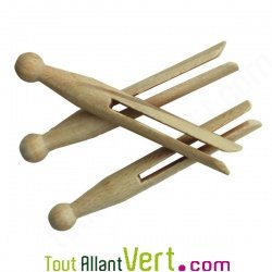 Pinces � linge multi-usages en bois uniquement, lot de 25