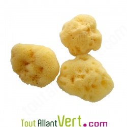 Eponge Mensi pour les r�gles menstruelles, lot de 3