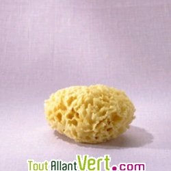 Eponge naturelle de toilette de la Mer �g�e