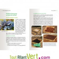 Mon potager bio en ville, Eric Prdine et franck David, Ed. Terre Vivante