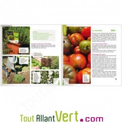 Je d�marre mon potager bio, Terre Vivante