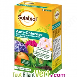 Anti-chlorose contre le jaunissement des feuilles, Solabiol, 120g