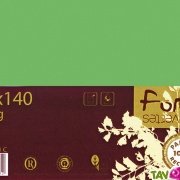 Enveloppes recycles 90x140 vert 120g Lot de 20, Forever