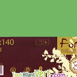 Enveloppes recycl�es 90x140 vert 120g Lot de 20, Forever