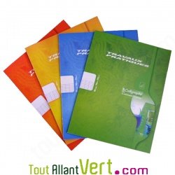 Cahier Travaux Pratiques 17x22cm Uni+grands carreaux 48p Vert