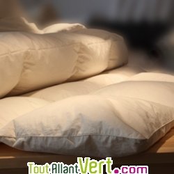Couette en duvet d\'oie toutes saisons 260g/m2 et coton biologique